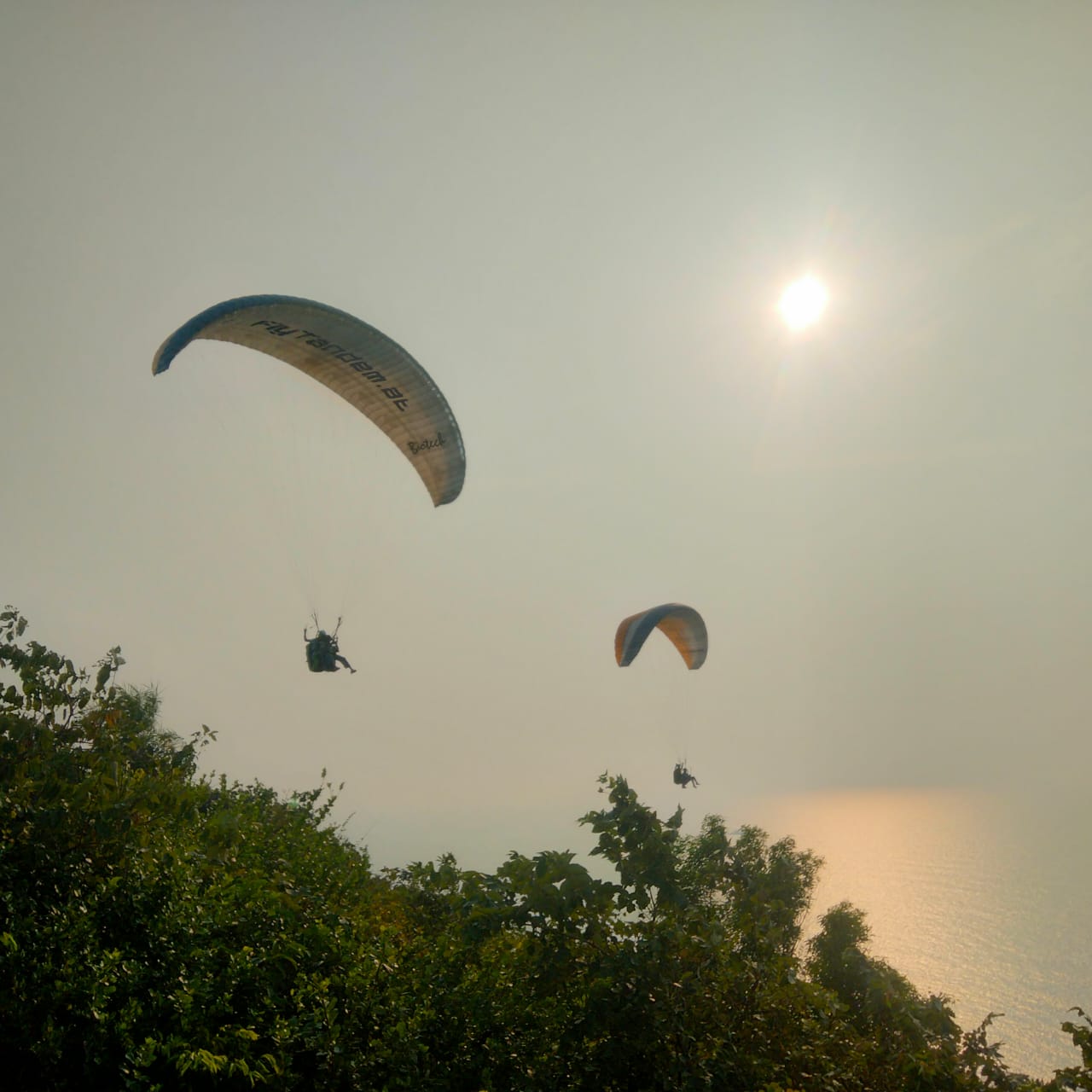 Paragliding 